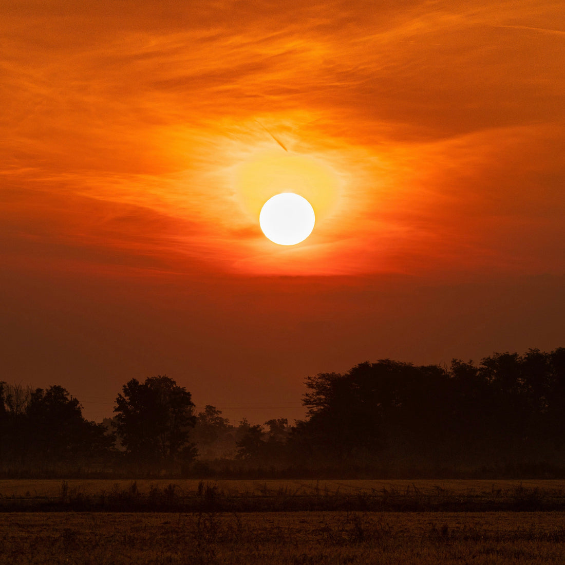 루시에르의 소명
