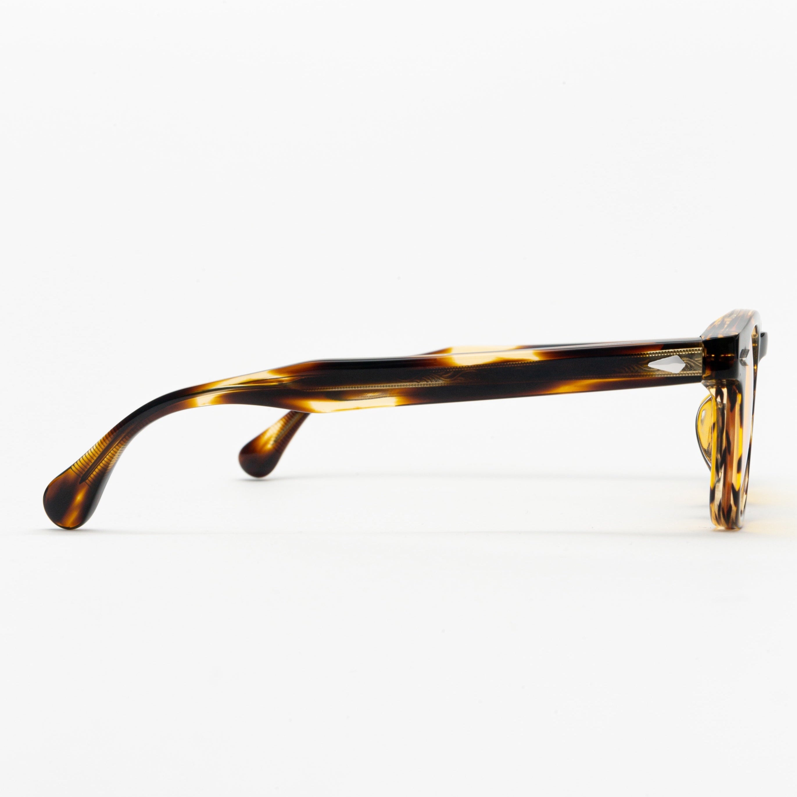 Emory Nature Day Lenses