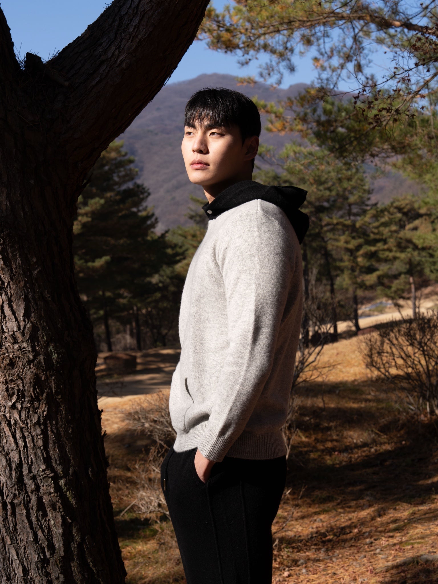 순수 메리노 울 후드티