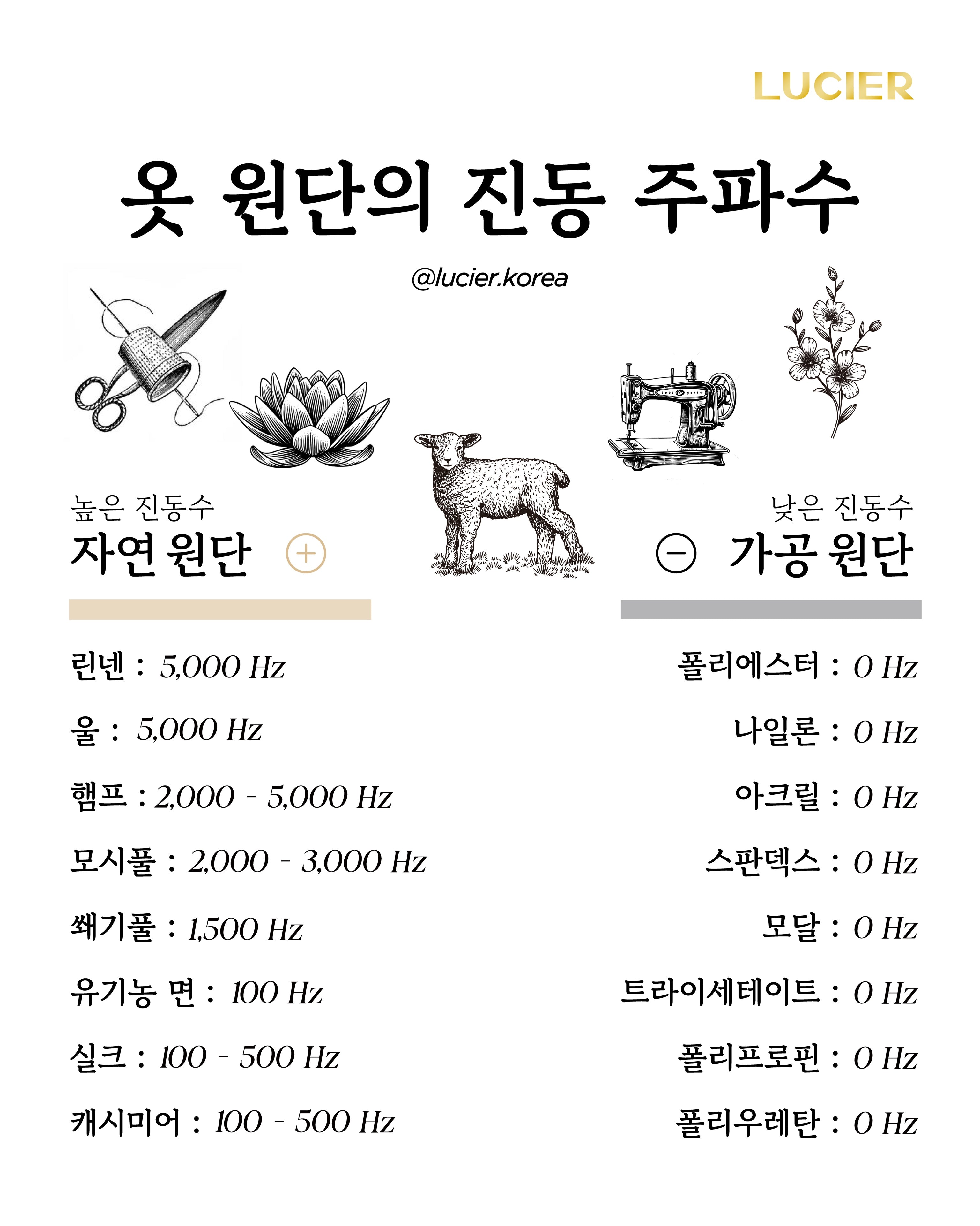 100% 순수 메리노 울 후드티